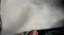 Man finds snake in UK garden