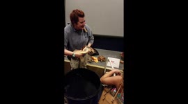Rescued turtle being shown at North Carolina Aquarium