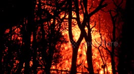 Lava still spews from fissure on Hawaii's Big Island