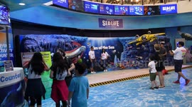 Sea Life Ocean World in Bangkok is Southeast Asia's largest aquarium