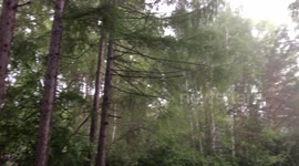 Hailing in June, in Yekaterinburg, Russia