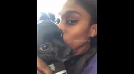 My dog gets mad when I kiss him https://t.co/P6nr7nJfnC