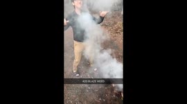 Smoke in the forest