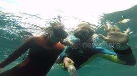 Divers have close encounter with killer whales off Mexico coast