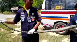 Rescuers pose with 20ft long King Cobra