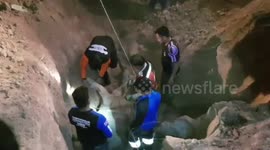 Buffalo rescued after falling into disused well