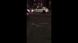 Aftermath of high-speed crash having hit a brick wall