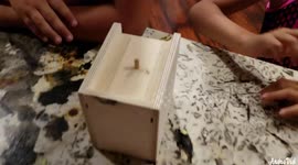 What's in the Box!