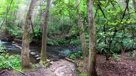 Beautiful River in 4K