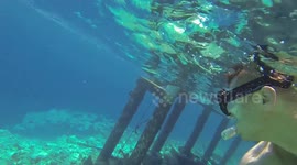 Housereef Amaya Kuda Rah - Maldives
