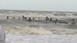 Chinese villagers' rescue of stranded four-tonne whale ends tragically