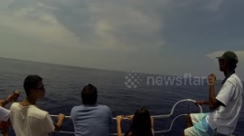 sri lanka Whale sightseeing trip GoPro