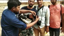 Stork with beak shut by ‘plastic ring’ rescued in India
