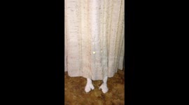 Cat is convinced he's found the best hiding spot