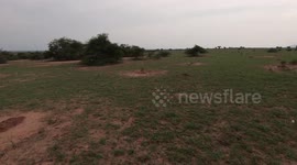 GoPro Lion footage Shot at 2.7K 60FPS