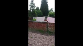 There is a halo around the Sun