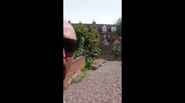 There is a halo around the Sun (video 2)