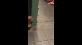 Woman Preps Leg for Shaving in NYC Subway 02