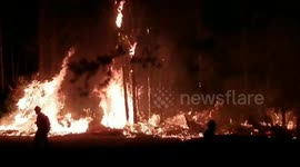 Large Wildfire Burns in Daytona Beach Florida