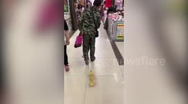 Quack Friday? Man walks cute ducklings through shopping centre