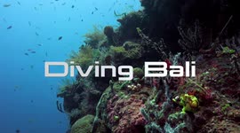 Scuba Diving in Bali, Indonesia