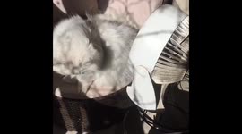 Posh and her fan. Tell me I’m beautiful.