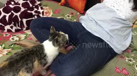 Kitty playing rough with her Momma