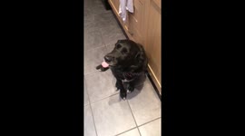 Dog smiling for his dad