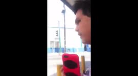 Disputa estúpida