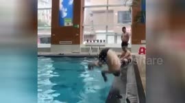 Man smacks his face on pool edge in very painful backflip fail