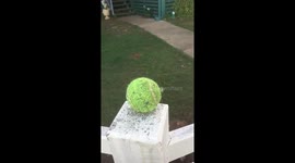 Greg grabbing ball in slow motion