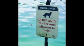 Best Dog Park Ever!