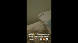 When you lose sight of a spider