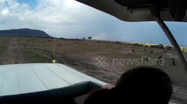 KENYA 2017 - Masai Mara National Park