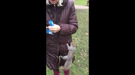 After her nuts!