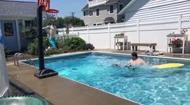 Human and dog almost collide