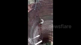 Brave farmer rescues injured peacock from 40-feet well