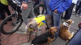 Colombia vs Japan