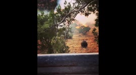 Fire breaks out near Hollywood sightseeing attraction