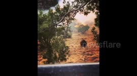 Fire breaks out near Hollywood sightseeing attraction