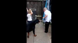 4-year-old girl's very sweary reaction during balloon pop gender reveal