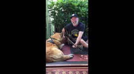 Dog strums guitar with Seattle owner for the first time