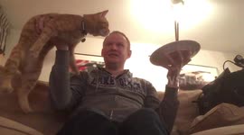 Arne the ginger cat really loves spicy stir-fry