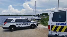 Dead body found in Tampa harbour Island