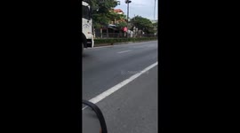 Dog in Vietnam runs in front of truck and blocks its path