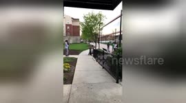 Man tries to lunge over bin but falls right into it