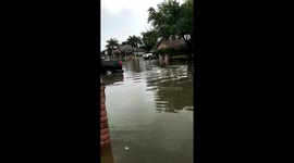 My nephews makin the best of this flood???? https://t.co/wJeh3R1g1x