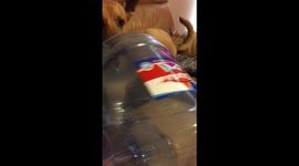 Sasha Loves Water Bottles