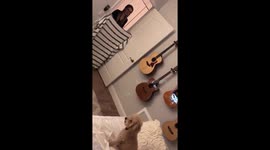 #WhatTheFluffChallenge