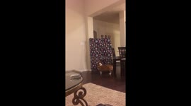 #whatthefluffchallenge ???? https://t.co/48pNXWoLPc